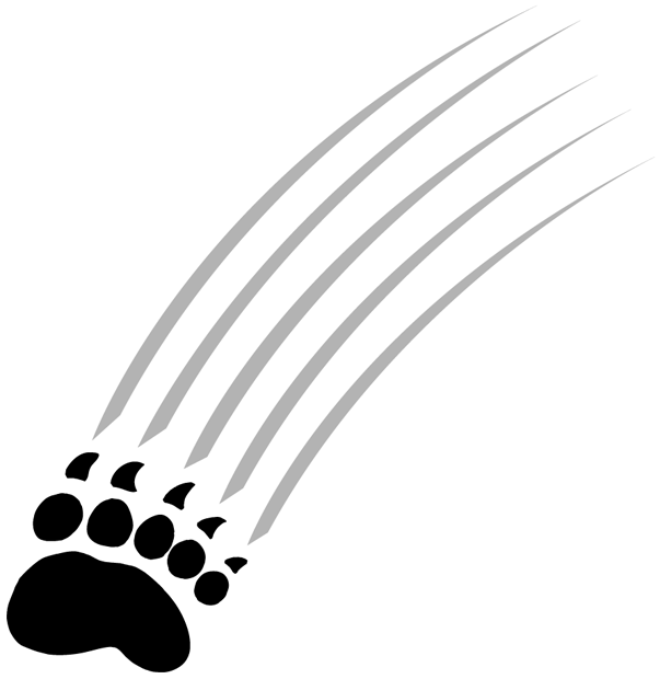 Maine Black Bears 1999-Pres Alternate Logo v3 DIY iron on transfer (heat transfer)
